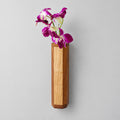 The Sprig Wall Vase